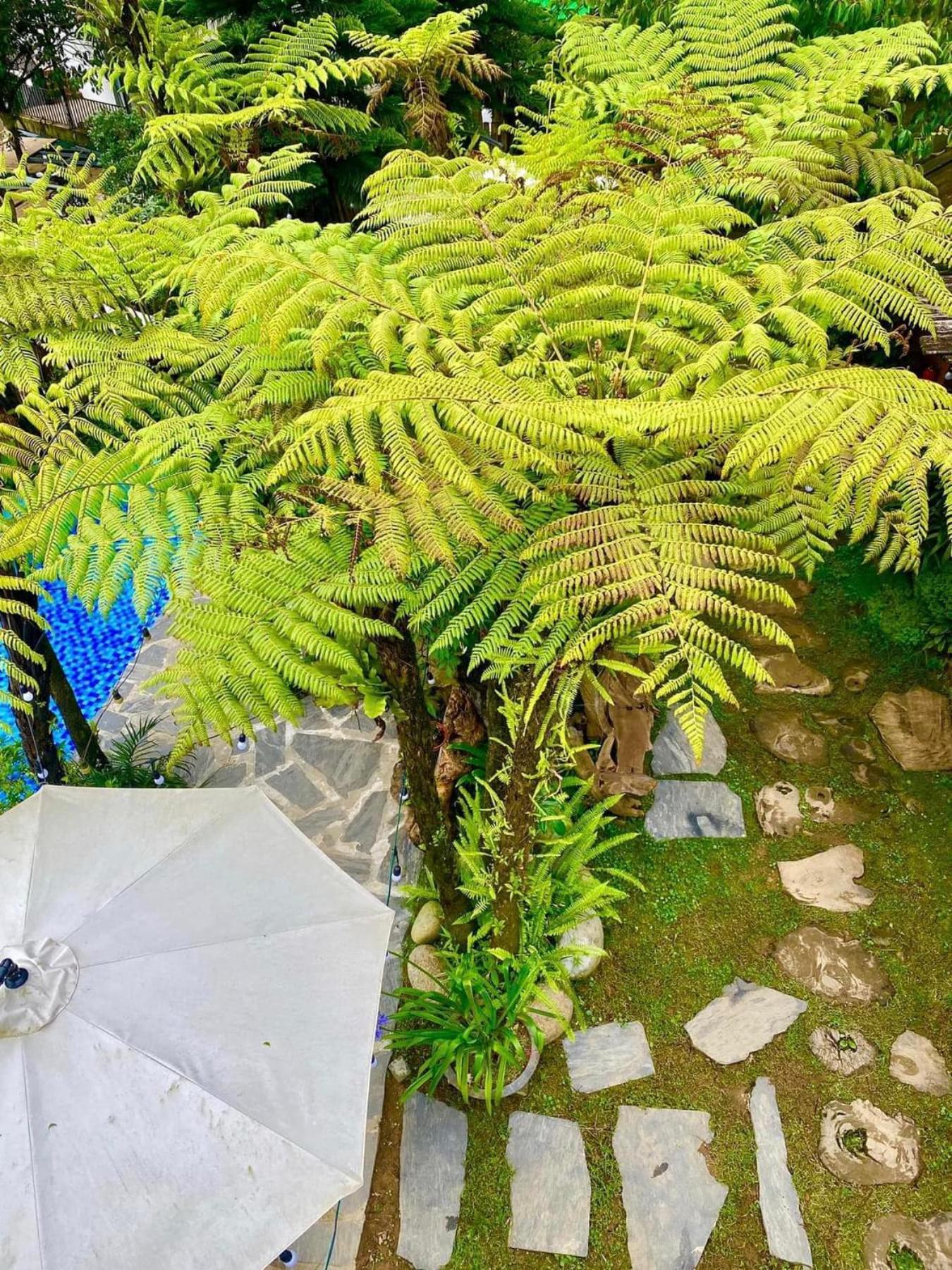 Love House Homestay Sapa Exterior photo